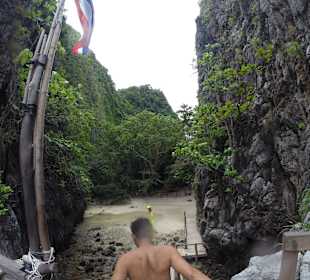 Roślinność w pobliżu Maya Bay