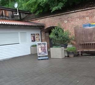 Die Courtine mit der Caponniere 6