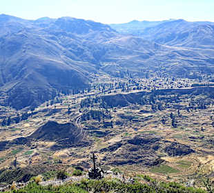 Colca-Canyon
