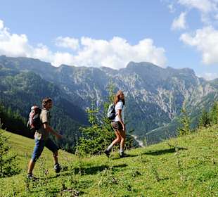 Wandern Pertisau