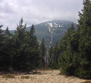 Direkte Hotelumgebung, die Schneeköppe