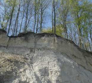 Bei unserer Wanderung an der Brodtener Steilküste
