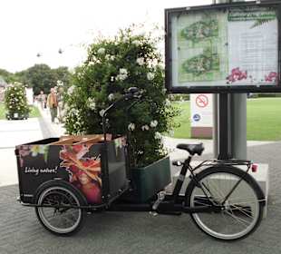 Aus- und Eingangsbereich