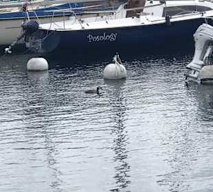 Hafen Orta San Giulio