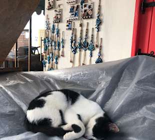 Stadtrundgang Sigacik