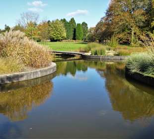 Rundgang durch den Botanischen Garten Hamburg