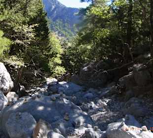 Einstieg zur Schlucht