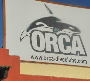Orca - Divers