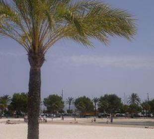 Alcudia Playa