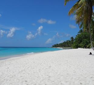 Strand auf Saona