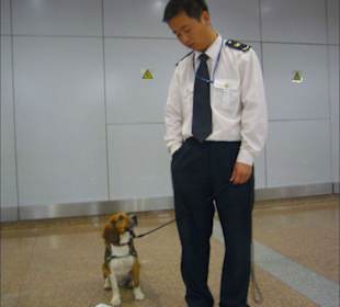 Zollbeamter mit seinem Hund