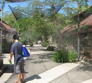 В зоопарке Бали