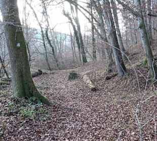 Schönbuch Schaichtal