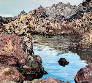 Wandern Puerto de la Cruz