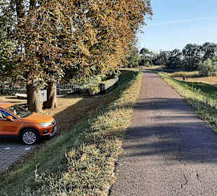Stadtrundfahrt zu Land und Wasser Magdeburg