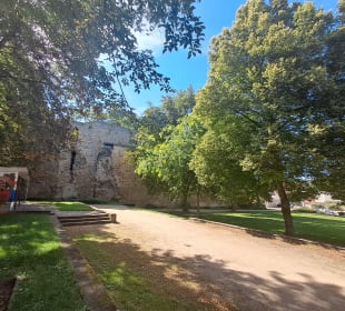  Schloß Alzey in Alzey, Deutschland 