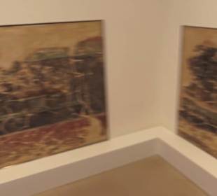 Museum für Vor- und Frühgeschichte