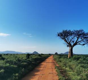 Safari Tsavo East 