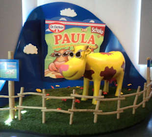 Produkt Verpackungen