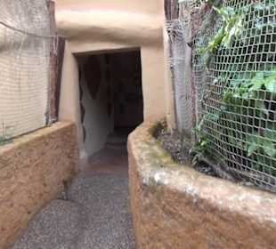 Deep in Africa - Black Mamba