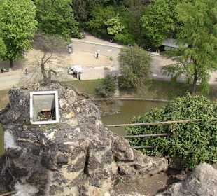 Oben