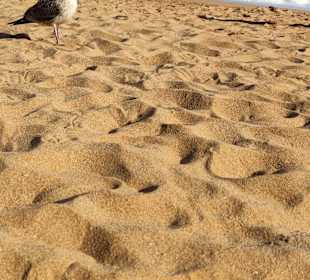 Praia de Nossa Senhora da Rocha