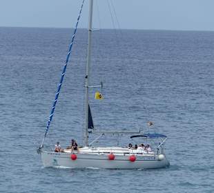 Whale Watching mit Segler