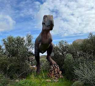 Tal der Dinosaurier