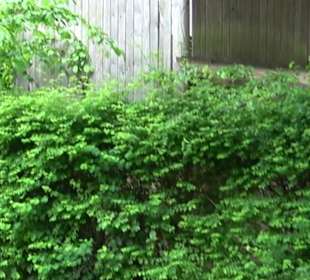 Dorfmuseum Dietersweiler