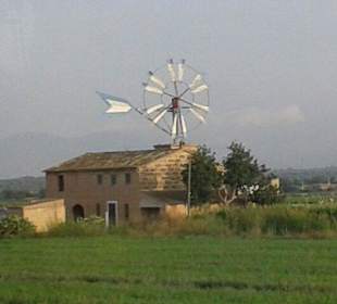 Windmühlen-Wahrzeichen von Palma