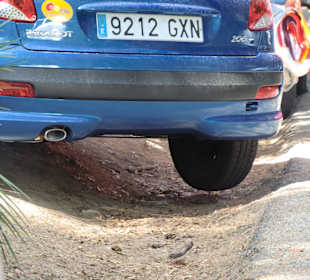 Gefährliches Parken am Straßenrand