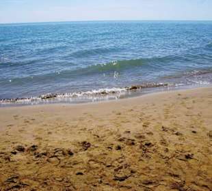 Sind ca. fünf solche Lagunen