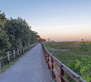 Kühle Temperaturen am Weg