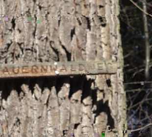 Premiumwanderweg "hochgeblickt"