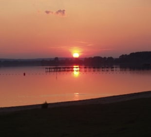 Dümmer See