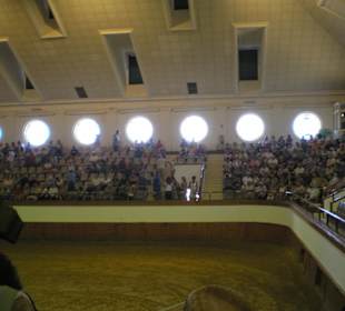 Królewska szkoła jazdy konnej