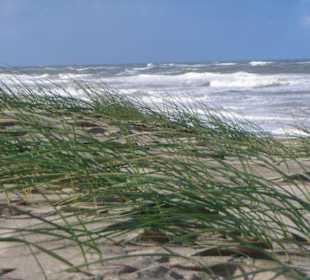 Strand auf Texel