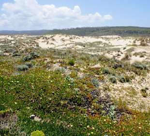 Dünen von Armoeira