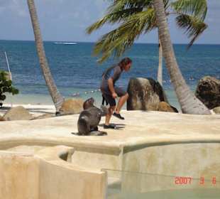 Ausflug Animal Adventure Park