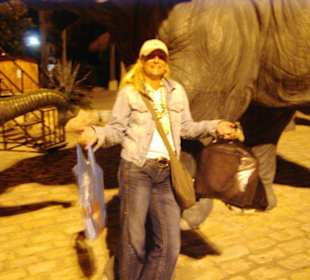 die Elefanten kommen!