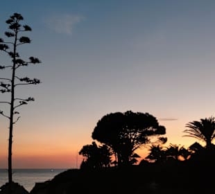 Praia de Nossa Senhora da Rocha