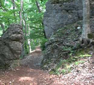 Premiumwanderweg hochgehkeltert Neuffen