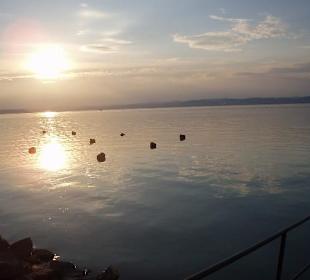 Balaton