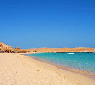 Paradise Island & Snorkeling- MM Tours