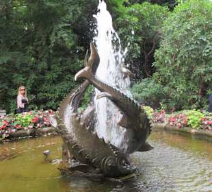Im Butchart Garden unterwegs