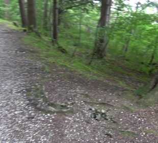 Maisinger See Maising