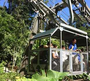 Regenwaldseilbahn