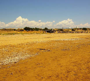 Gündogdu leichter Kies/Muschelbereiche