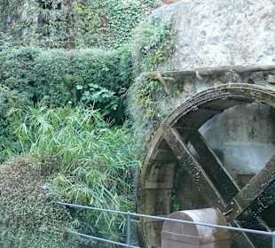 Es klappert die Mühle am...