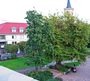 Stadt Erfurt im Bild Sept.2010